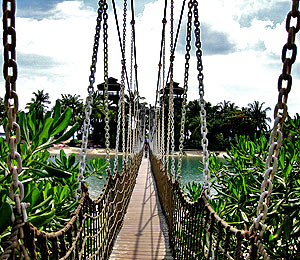 suspension-bridge